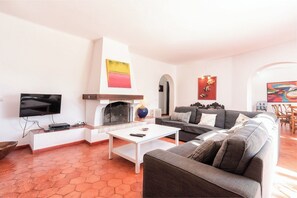 Smart TV, fireplace, books