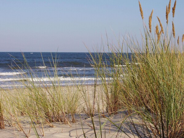 Beach nearby - Duplex apartment with swimming pool and sauna 200 m to the beach (Göhren)