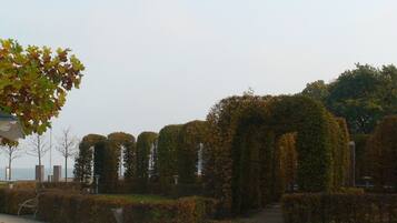 Un espace paysager agrémenté de haies soigneusement taillées et d’un arbre aux feuilles d’automne.