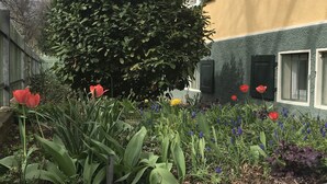 A garden with various flowers and a large bush in front of a building with a yellow facade and green trim. - 3 bedroom Jugendstilwohnung near the castle (Ludwigsburg)