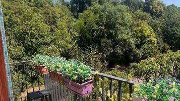 Un balcon donnant sur une forêt verdoyante et luxuriante.