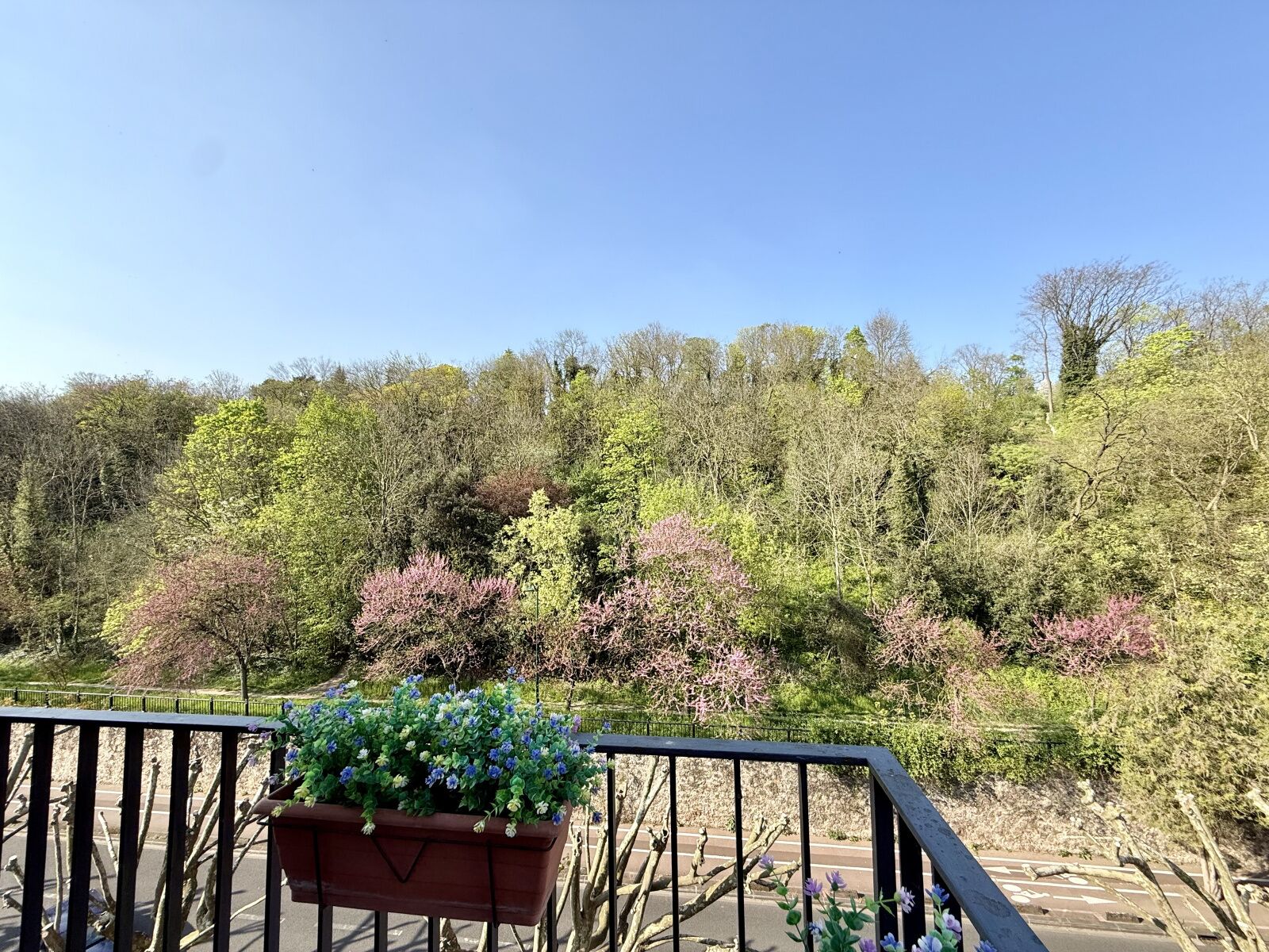 A balcony with a flower planter, a railing, and a view of a forested area.