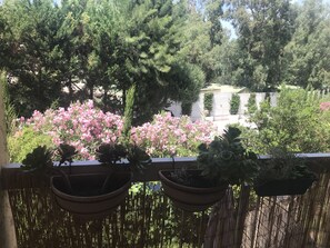 Property grounds - Apartment, 7 minutes walk from the beach. (Calvi)