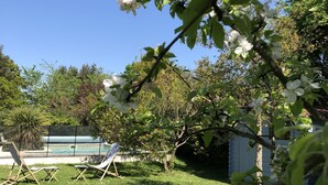 Un patio trasero con piscina, sillas de descanso y un árbol de flores blancas.
