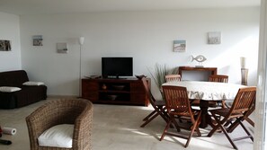 Televisión, reproductor de DVD y libros