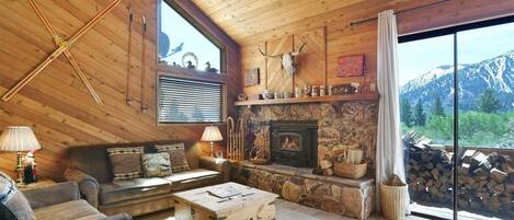 TV, fireplace, stereo