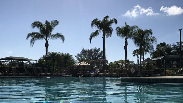 A clear pool with visible water patterns, surrounded by palm trees and a fenced area with lounge chairs. - STUNNING FRESHLY RENOVATED STONEYBROOK CONDO IN GATED COMMUNITY ON GOLF COURSE (Estero)