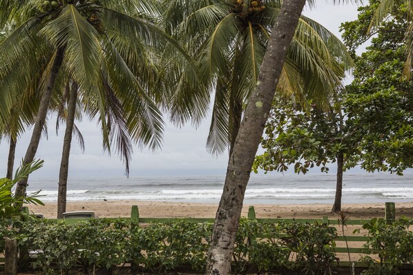 On the beach, sun-loungers, beach towels