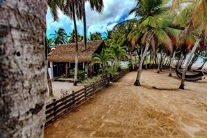 Property grounds - Top Private Beachfront Home 20+ Years-Sugar Sand &Surf, Sleep 13 w/4 full baths! (Playa Grande)