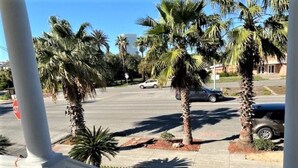 A street view with palm trees, a stop sign, and a car on the road.