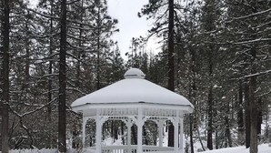 Un belvédère enneigé au cœur d’une forêt.