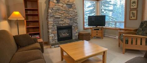 TV, fireplace, DVD player