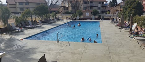 屋外プール、温水プール