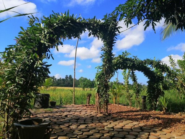 Jardines del alojamiento