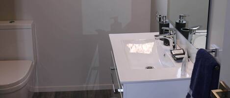 Ein modernes Badezimmer mit Toilette, Waschbecken und Spiegel.