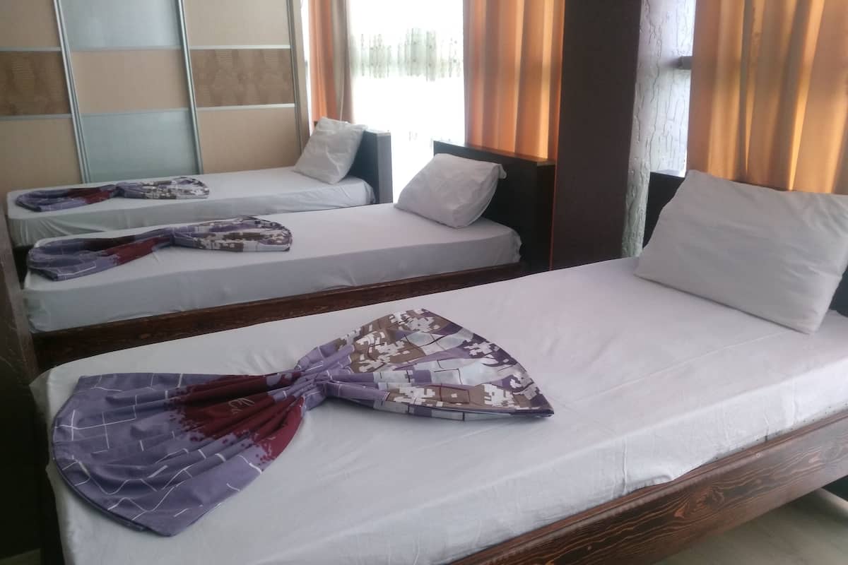 Two single beds with wooden frames and white bedding, a mirror, and a window with curtains.