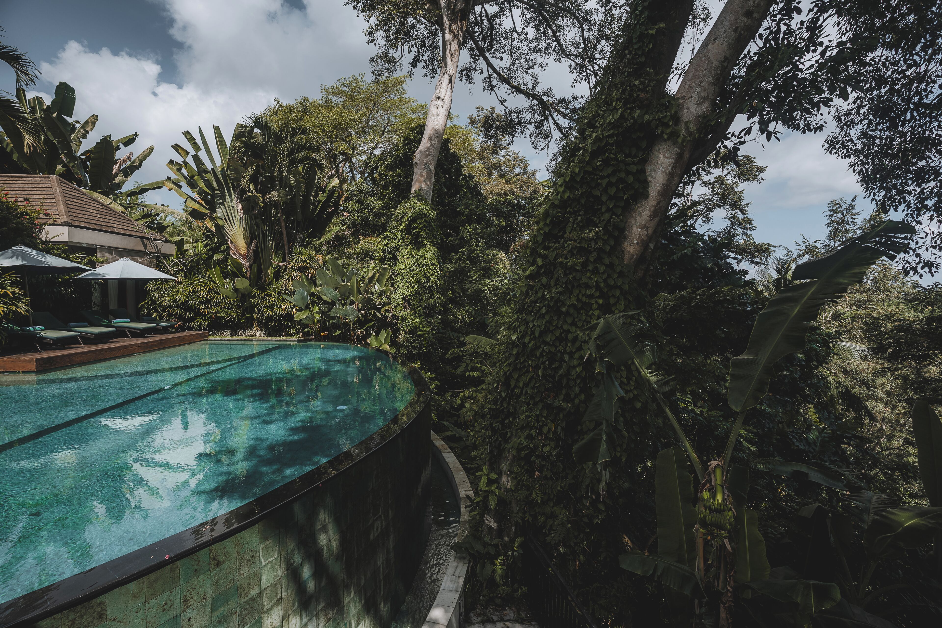 Una piscina curva con borde de azulejos, rodeada de exuberante vegetación tropical y un edificio con techo inclinado.