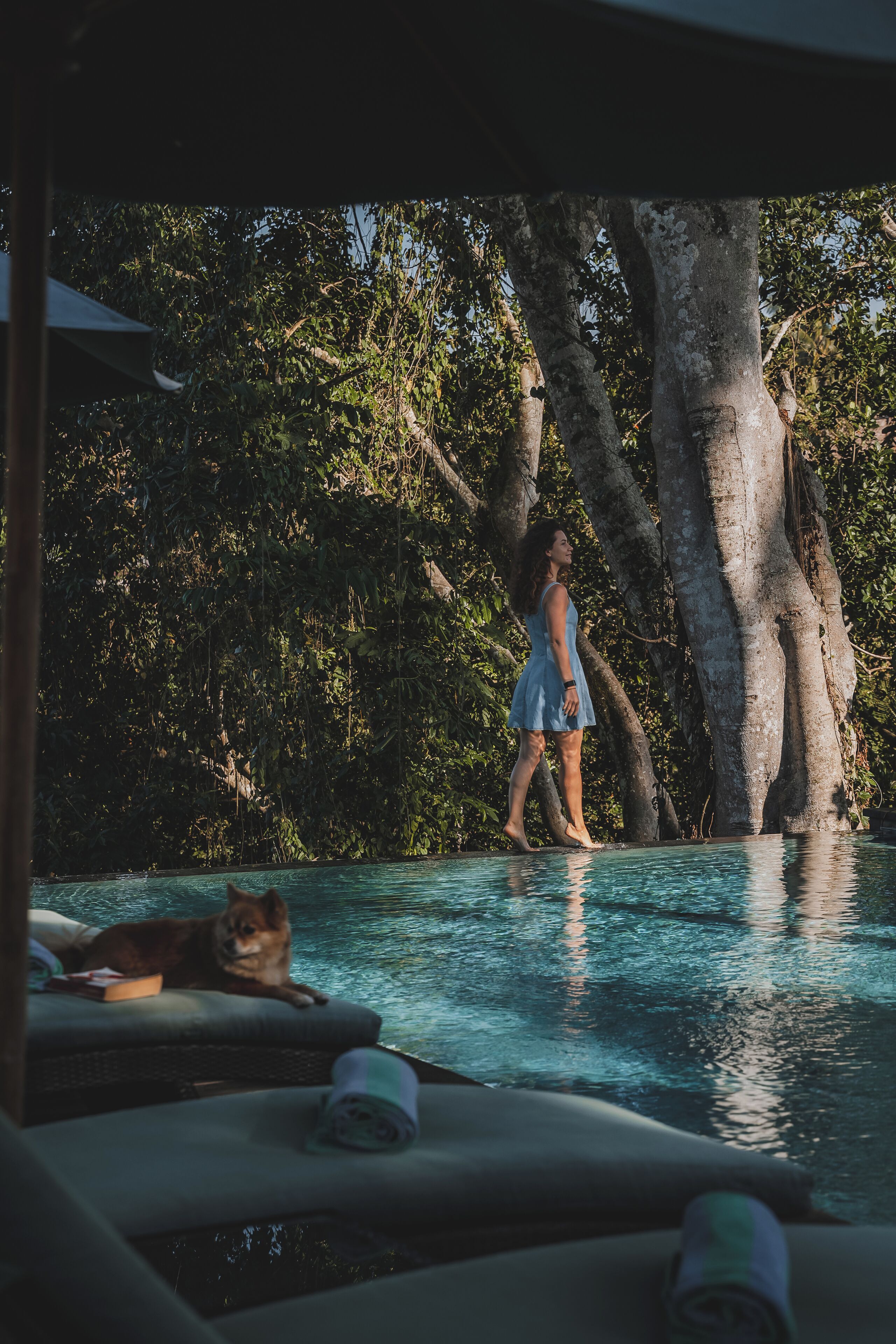 Una persona caminando cerca de una piscina con sillas de descanso y un árbol al fondo.