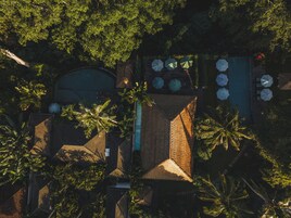 Vista aérea de un resort con piscina, múltiples sombrillas y palmeras.