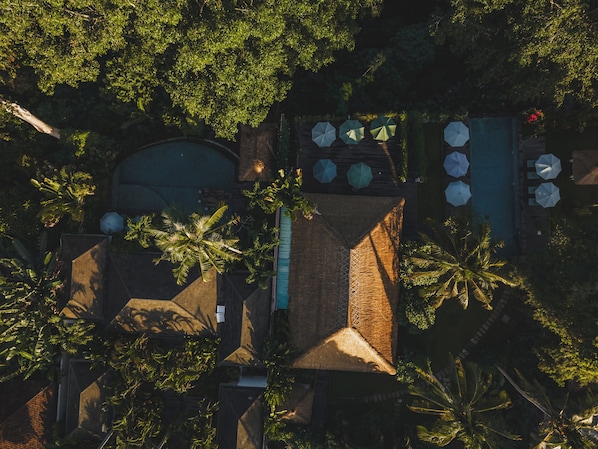 Vue aérienne d’un complexe hôtelier doté d’une piscine, de plusieurs parasols et de palmiers.