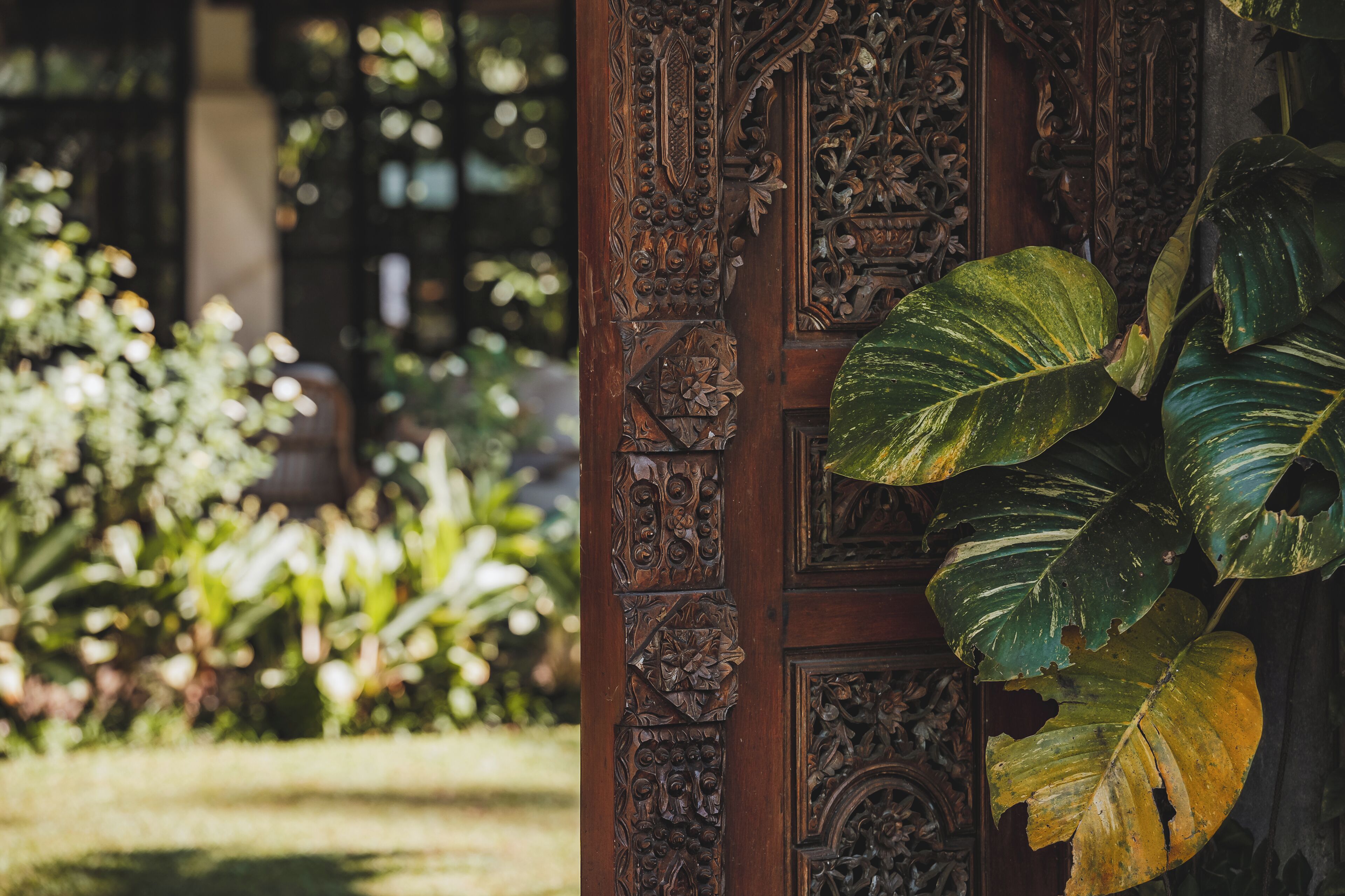 A wooden door with intricate carvings and a large green leaf.