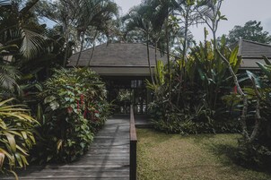 Un sendero de madera que lleva a un edificio con techo inclinado, rodeado de densa vegetación tropical.