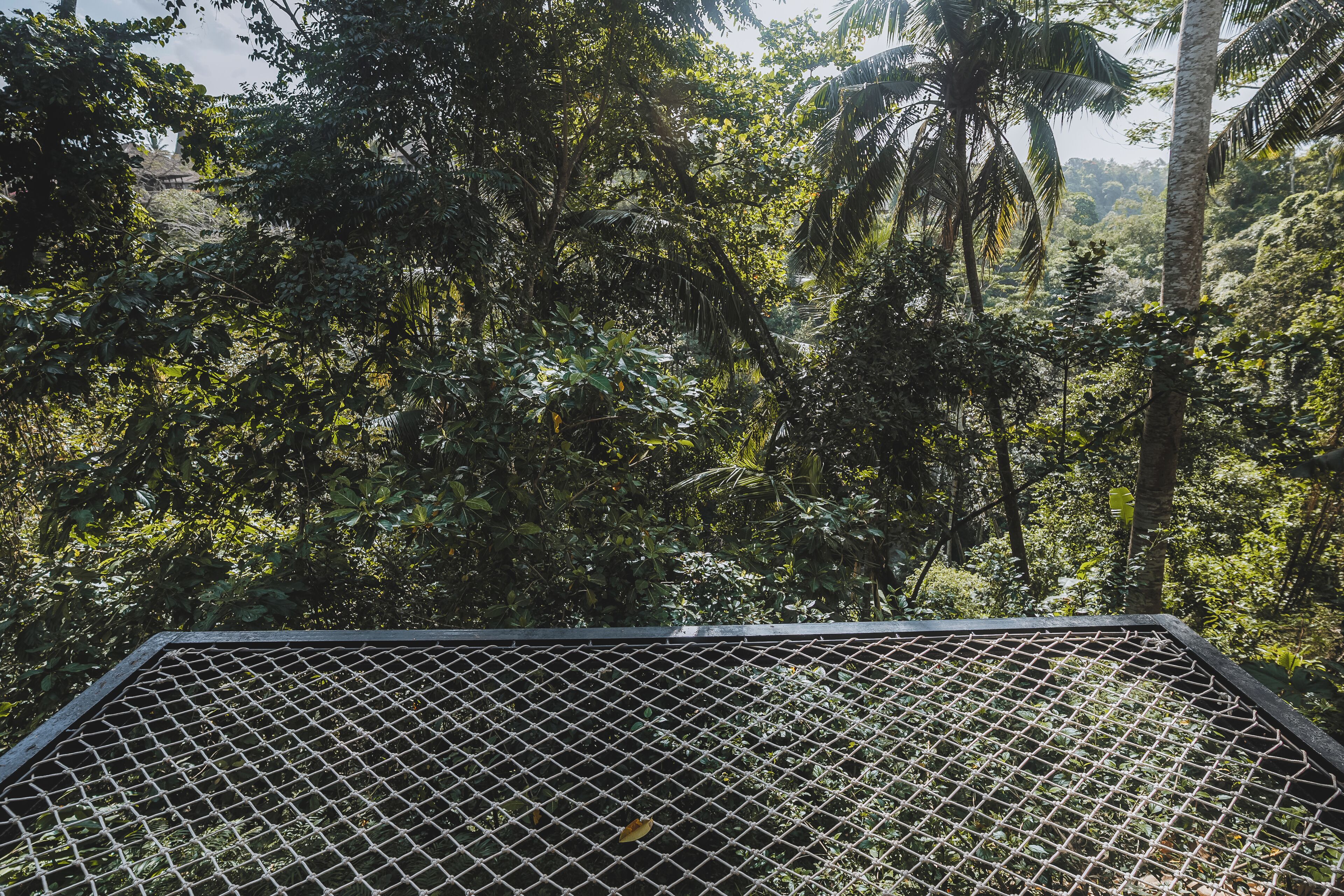 Foto - The Hidden Paradise Ubud