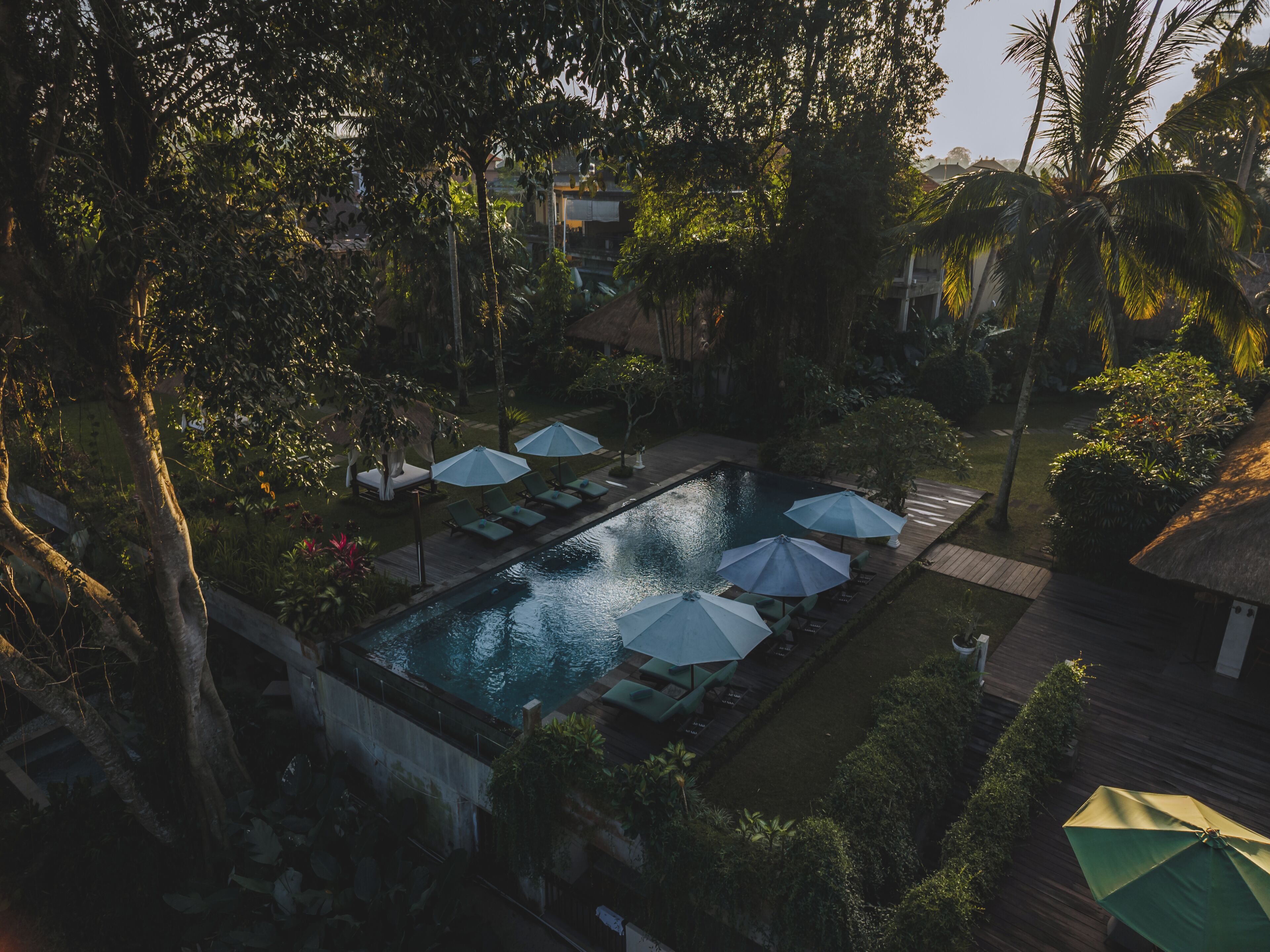 Un área de piscina con sillas de descanso y sombrillas, rodeada de árboles y un edificio con techo de paja.