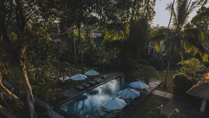 Un espace piscine agrémenté de chaises longues et de parasols, entouré d’arbres et bordé d’un bâtiment à toit de chaume.