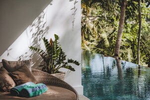 A room with a view of an outdoor swimming pool, a wicker chair, and a plant.
