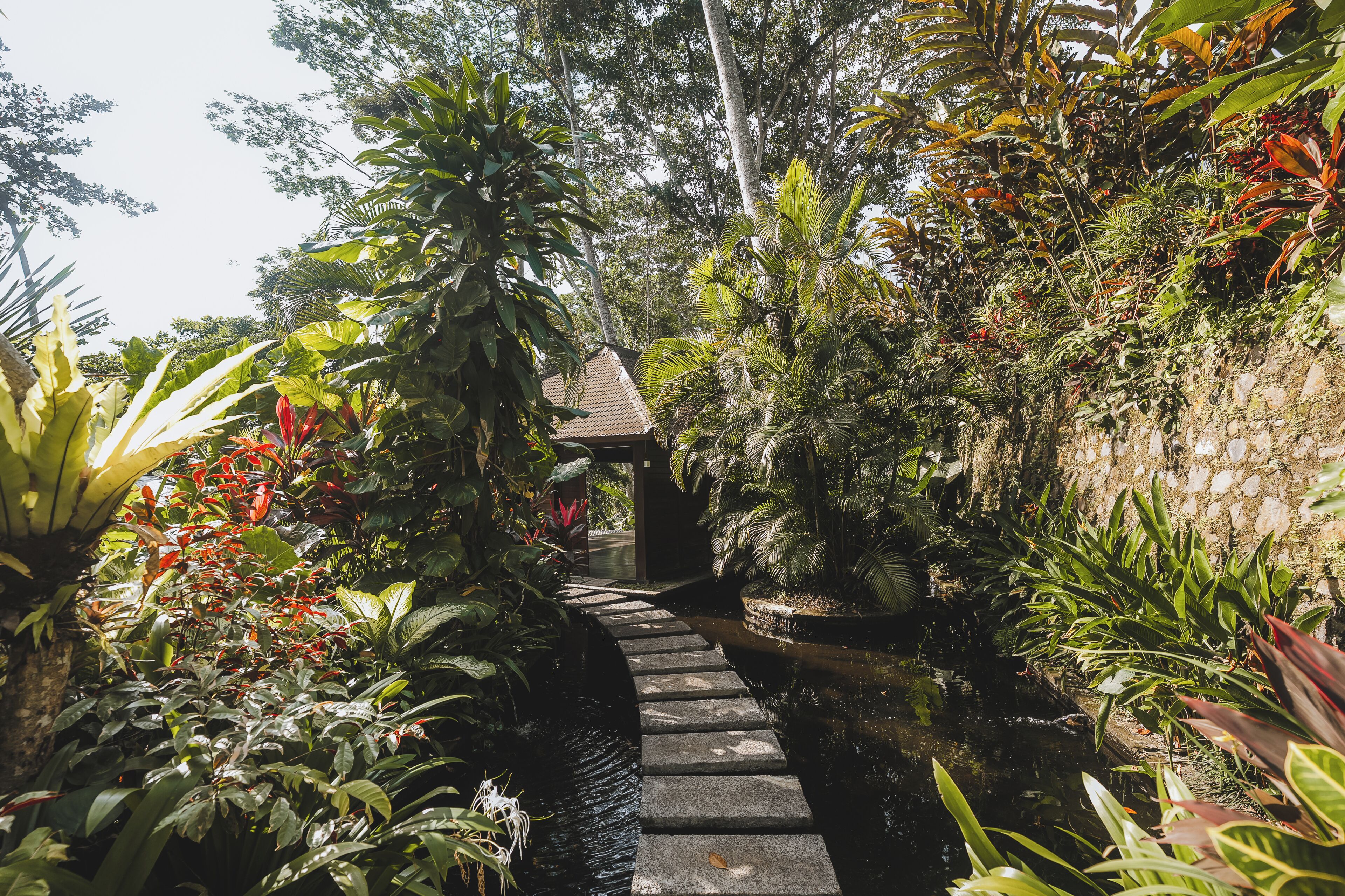 Foto - The Hidden Paradise Ubud