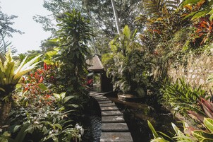 Un sendero de piedra que conduce a una estructura tradicional rodeada de exuberante vegetación tropical.