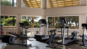 Une salle de sport équipée de divers appareils d’exercice, dotée de grandes fenêtres et offrant une vue sur la verdure environnante.