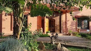 A traditional building with a tiled roof, a central entrance with a door, and a small garden area with plants and a statue. - Hotel Le Palais d hotes (Salé)