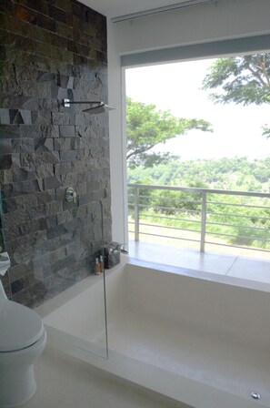 Separate tub and shower, free toiletries, hair dryer, slippers