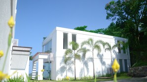 Un edificio moderno con techo plano, amplios ventanales y un patio empedrado con palmeras.
