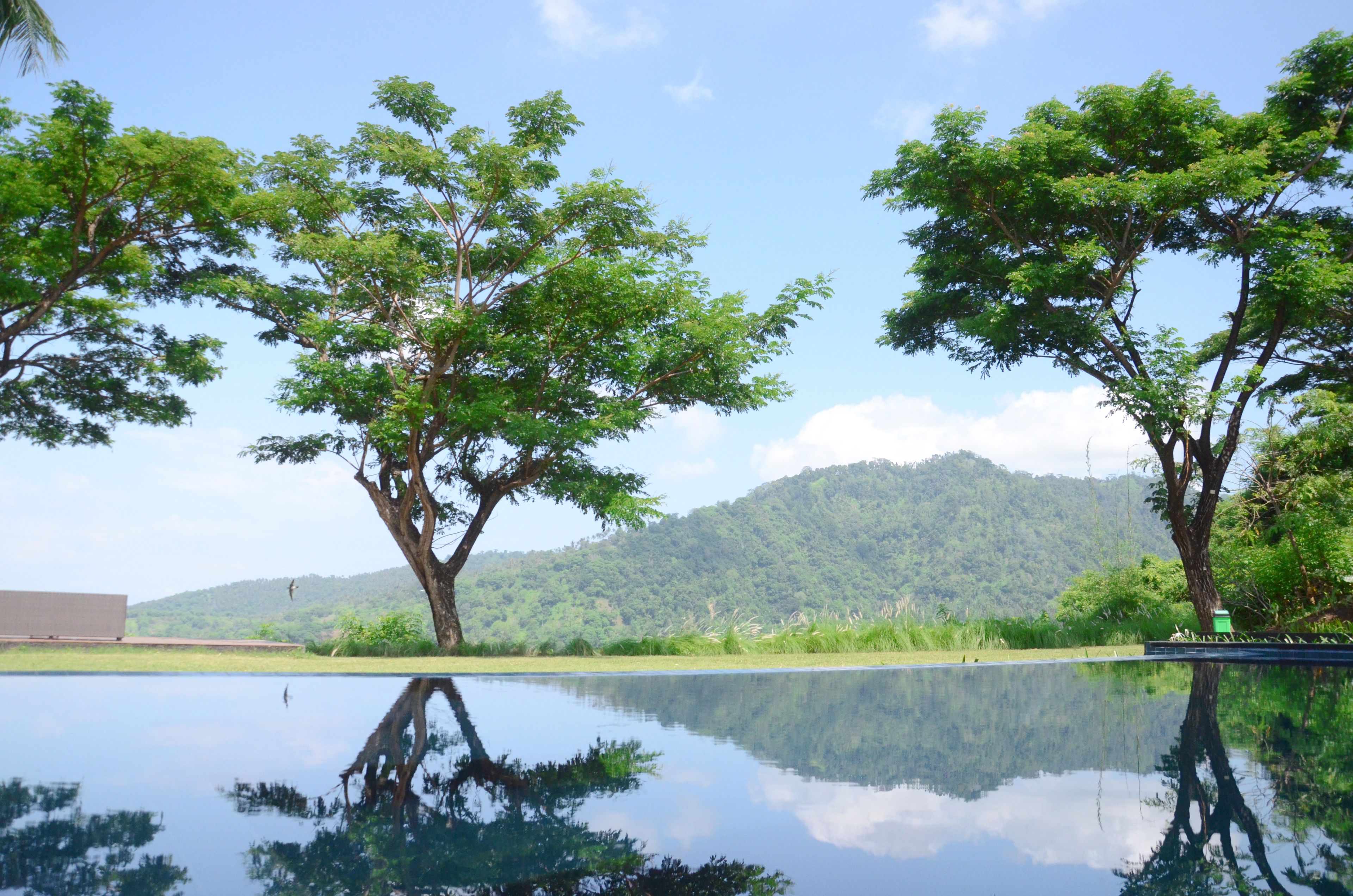 A serene landscape with a reflective water body, trees, and a distant hill.