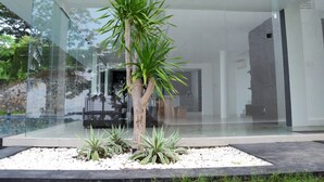 Un edificio moderno con fachada de vidrio, una palmera y plantas pequeñas al frente.