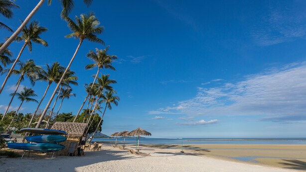 Une plage bordée de palmiers, une hutte au toit de chaume et un ciel bleu azur.
