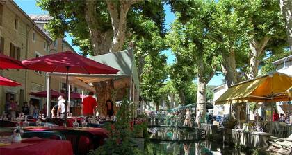 Rare! Mas en pierre 4 bedrooms /2 bathrooms, garden, heated pool, in the heart of Goudargues