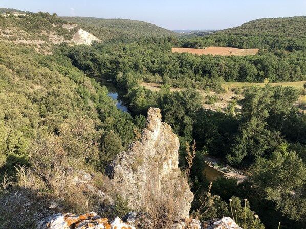 Un paisaje natural con un río, vegetación densa y afloramientos rocosos.