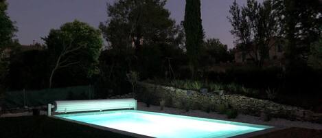 A rectangular swimming pool with a lighted edge, surrounded by a landscaped garden with various plants and a stone wall.