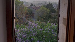 A view through a window with a rustic frame, overlooking a landscape with trees and a distant mountain range.