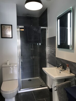 Hair dryer, towels, toilet paper