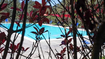 Seasonal outdoor pool, pool loungers