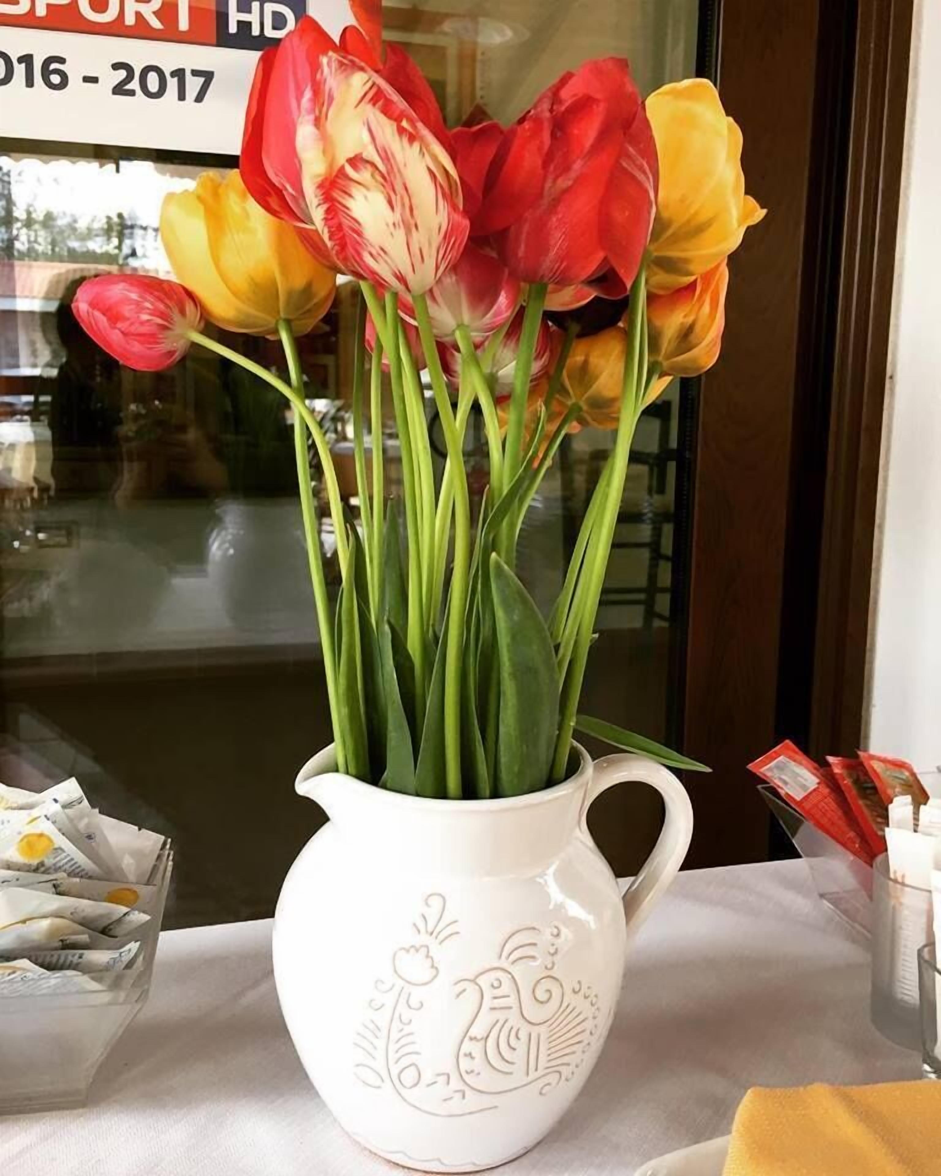 Una jarra de cerámica blanca con tulipanes en un escaparate.