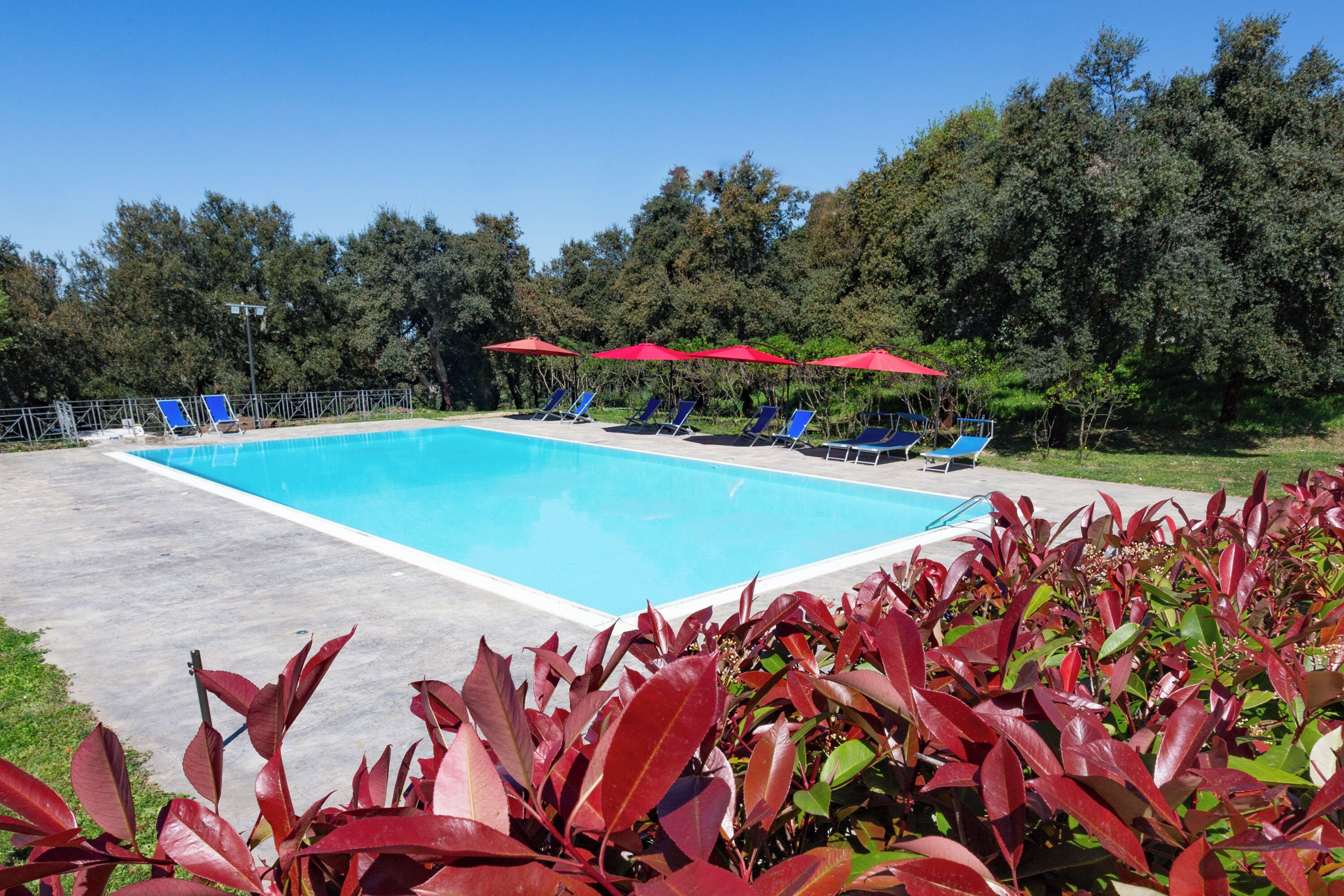 A swimming pool with blue water, surrounded by red umbrellas, and surrounded by green trees.