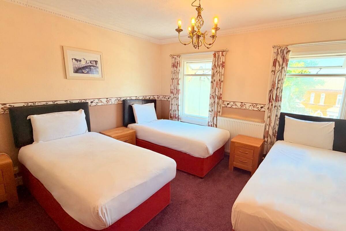 Triple Room, 3 Twin Beds, Non Smoking | Down comforters, blackout drapes, WiFi (free)