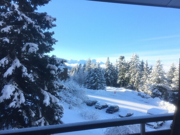 Property grounds - Charming studio cabin 4/6 pers COCOON at 50 m from the slopes (Chamrousse)