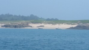 Nära stranden